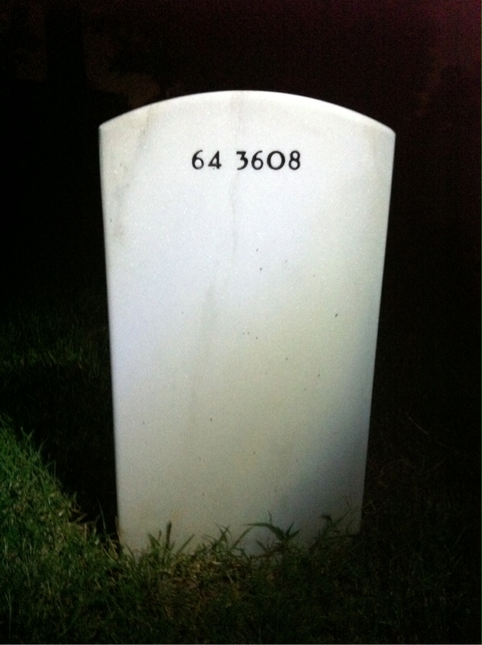 Back of headstone — Asta Benjamin