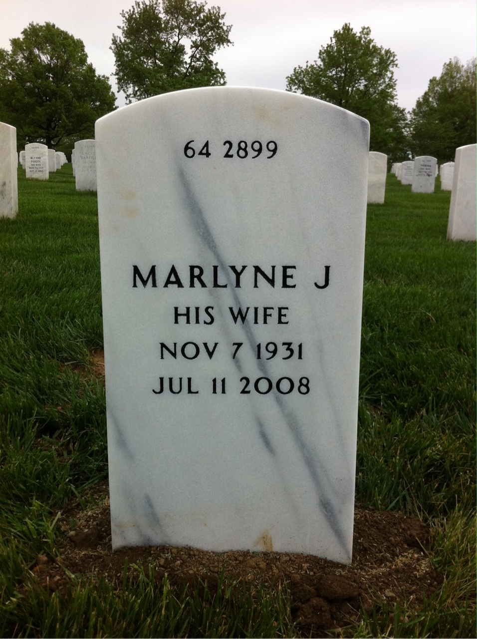 Back of headstone — Charles Cape