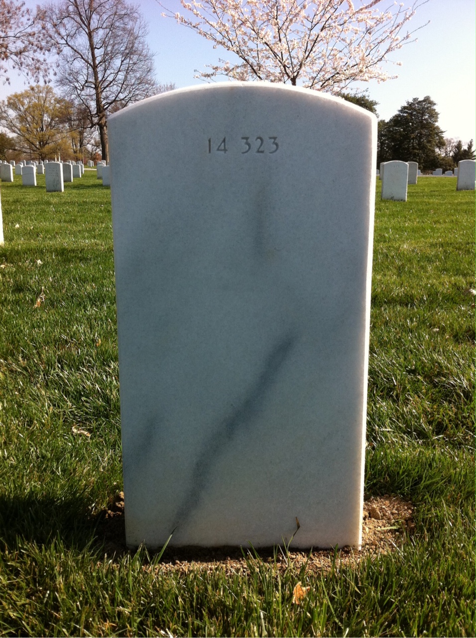 Back of headstone — Theodore Moller