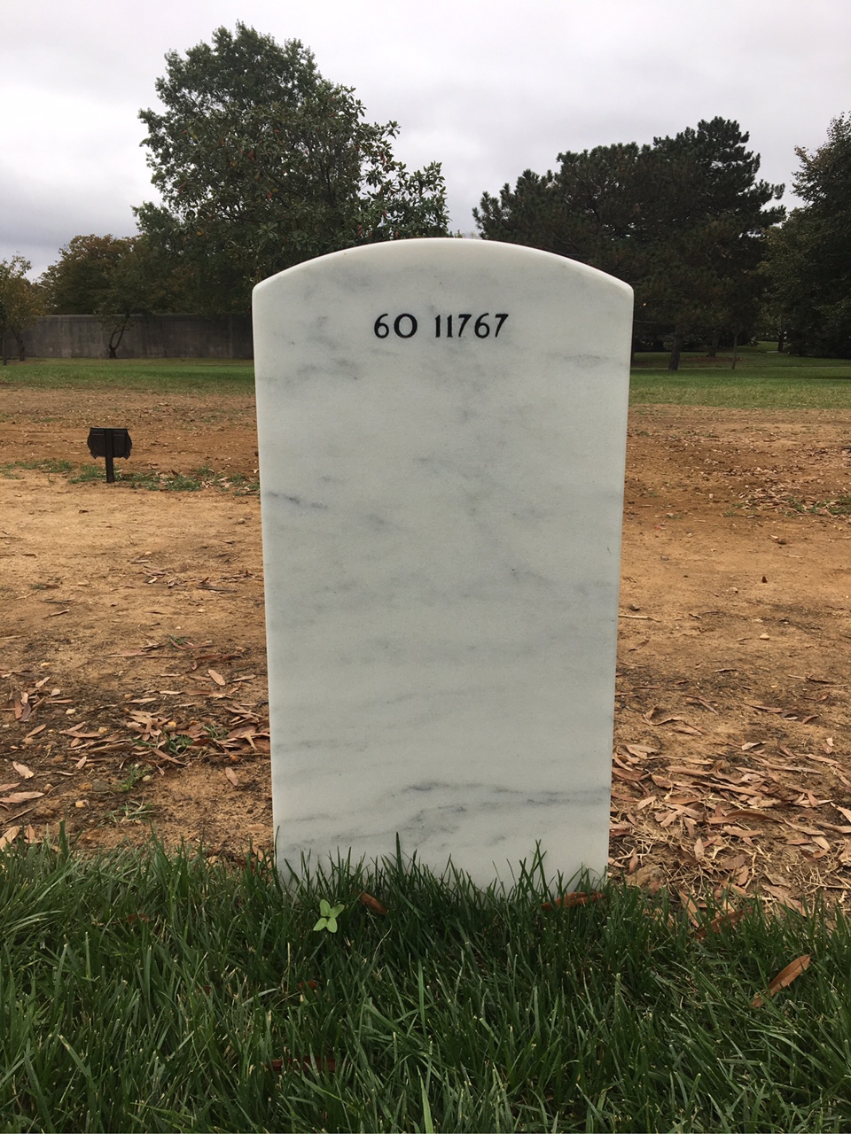 Back of headstone — Thomas Francis Walsh