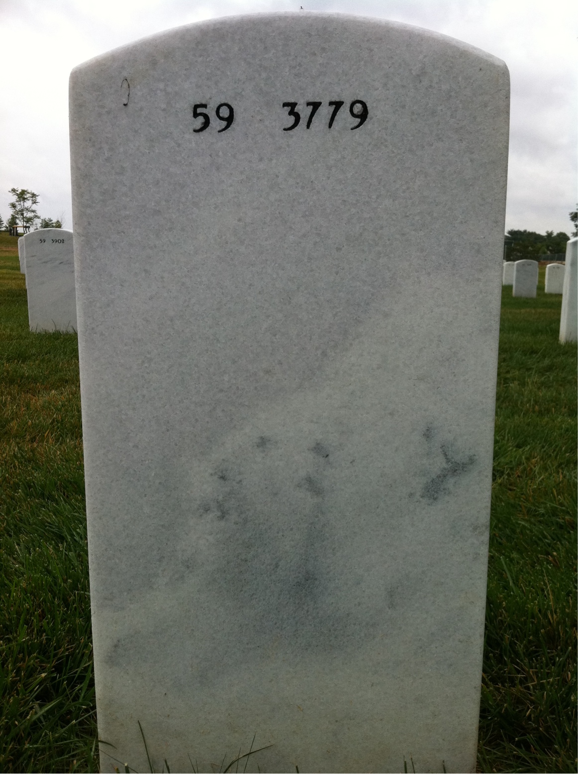 Back of headstone — Charles Steiner