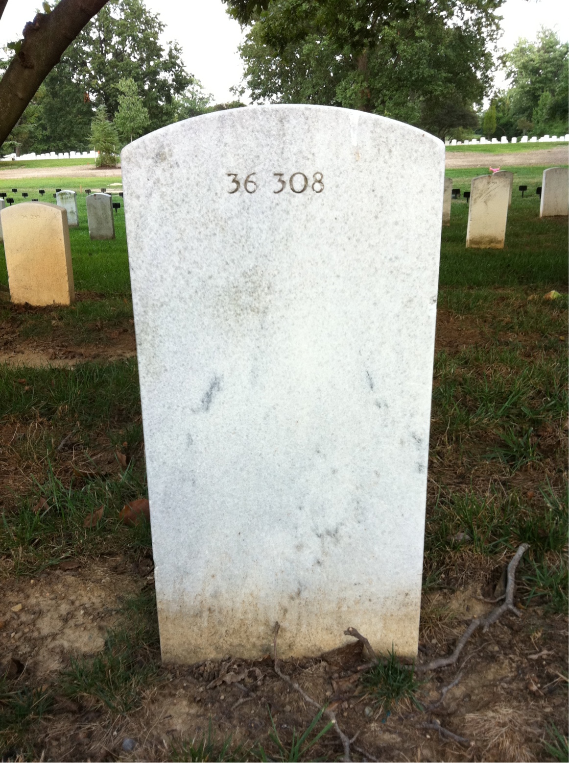 Back of headstone — Mary Baker