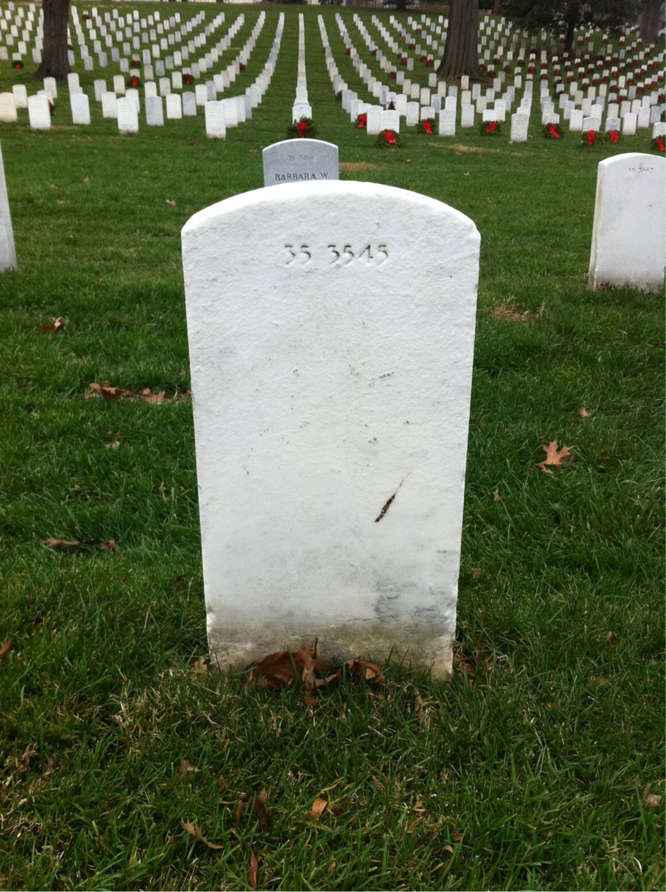 Back of headstone — Willie T James