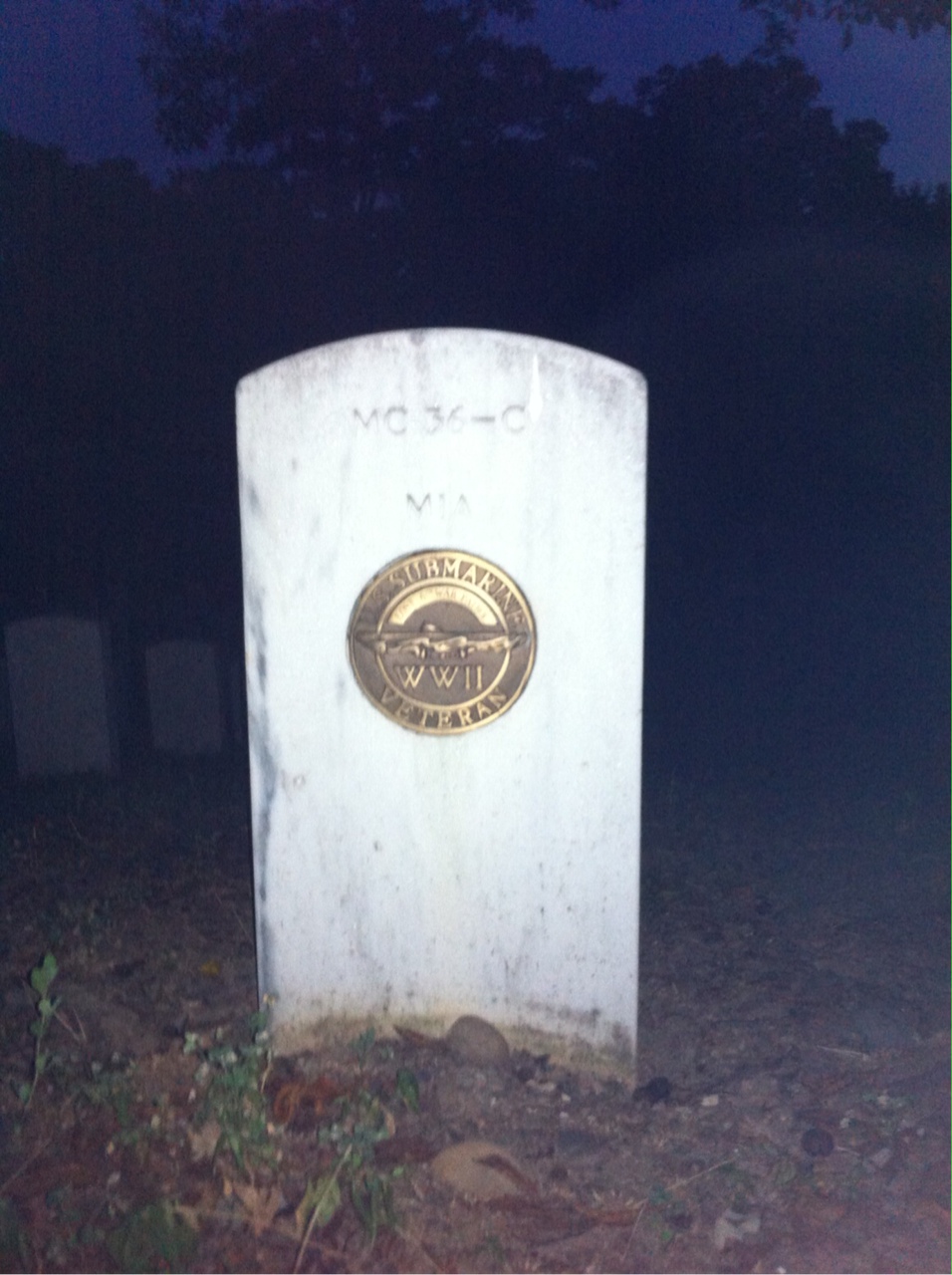 Back of headstone — Lloyd Mckenzie