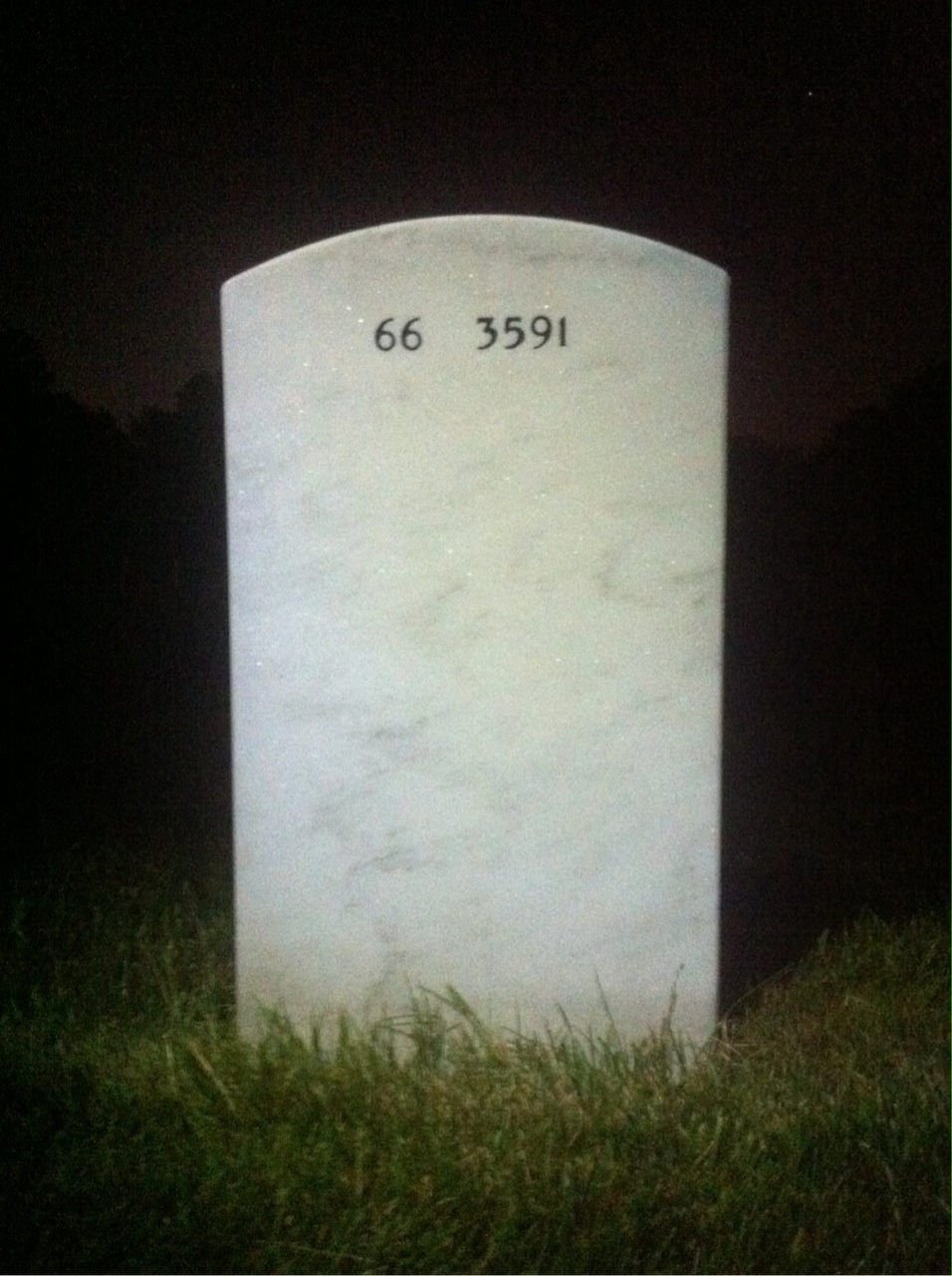 Back of headstone — William Ring