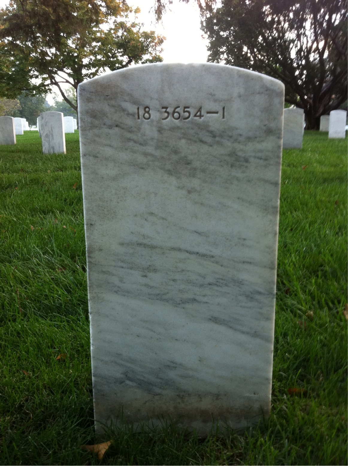 Back of headstone — Harry Alsop
