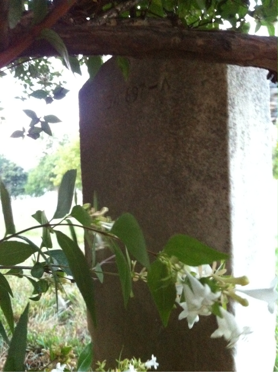 Back of headstone — George Cox
