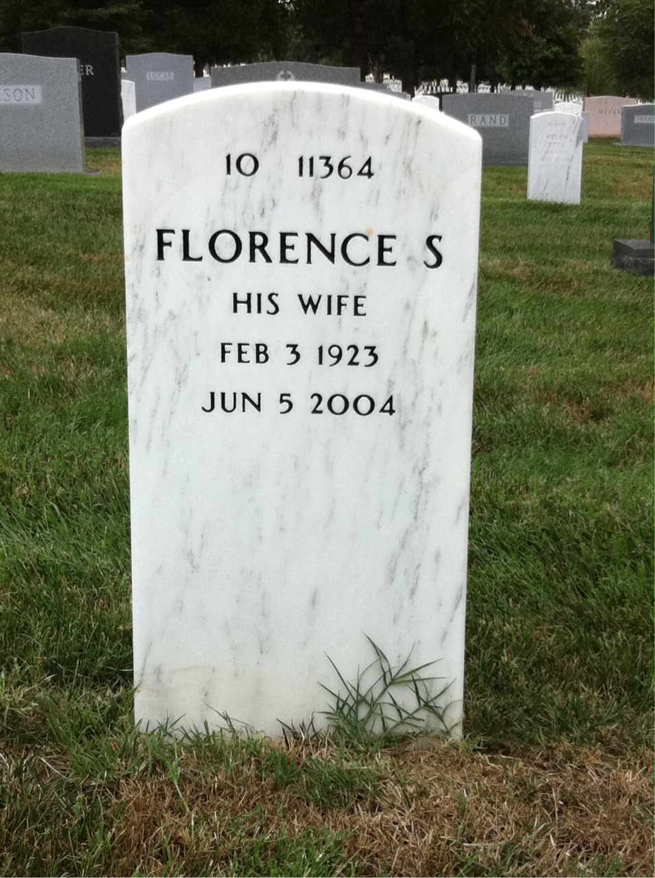Back of headstone — John Arcuri