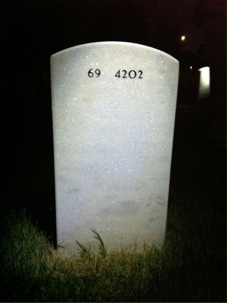 Back of headstone — William W Fox