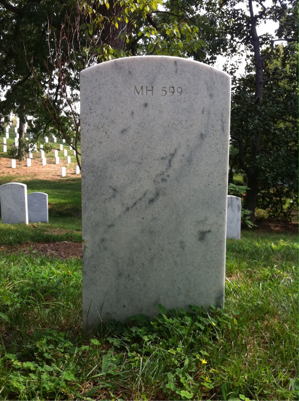 Back of headstone — David Muschna