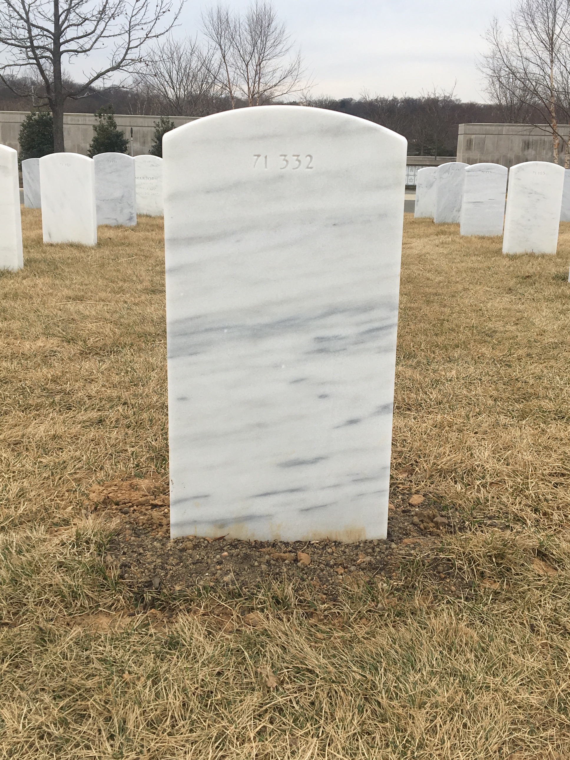 Back of headstone — Theodore Mulder
