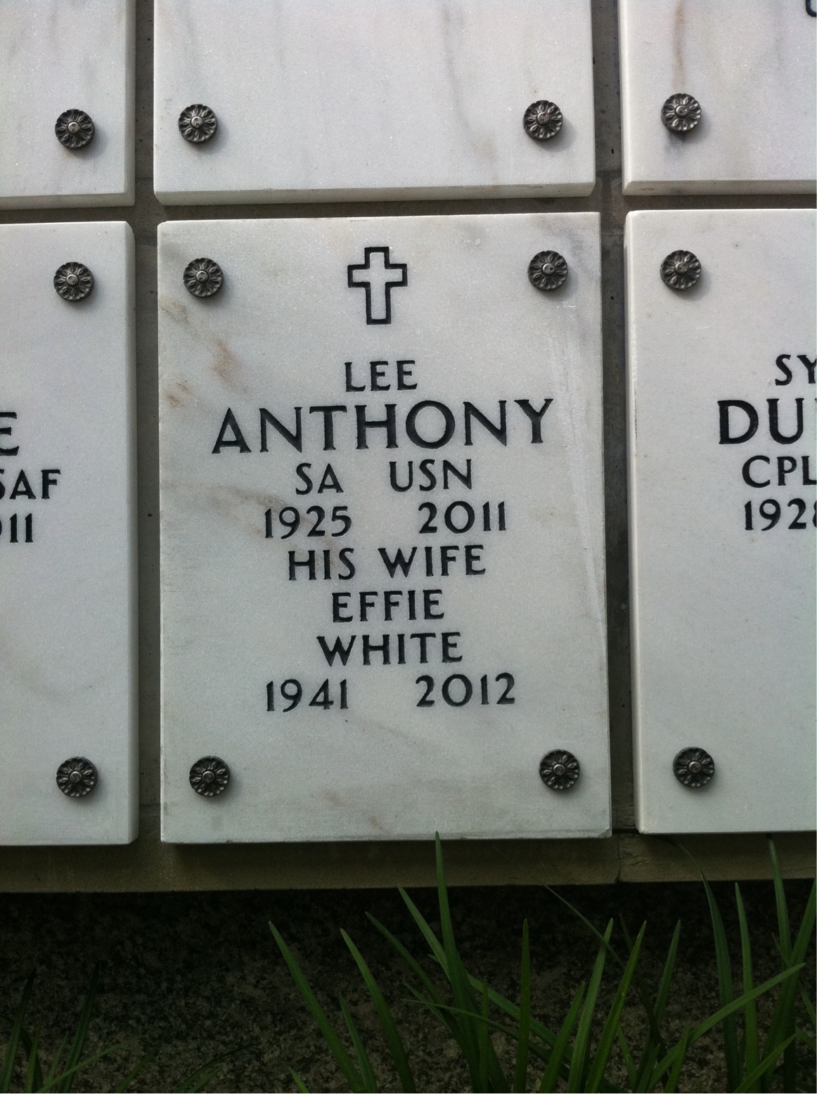 Lee Anthony