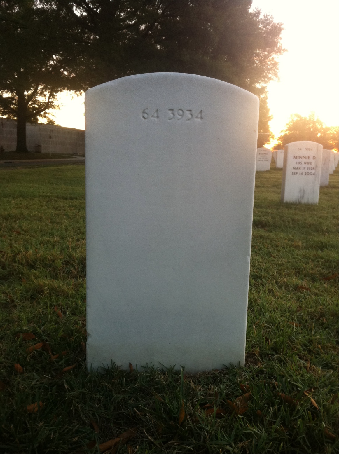 Back of headstone — Roy W Johnson