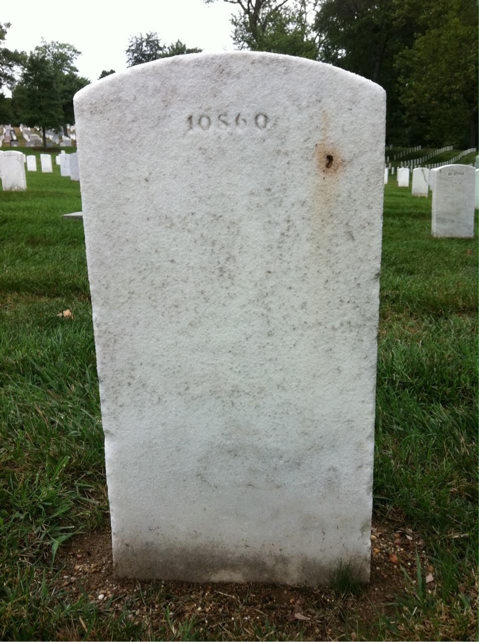 Back of headstone — Louis Amato