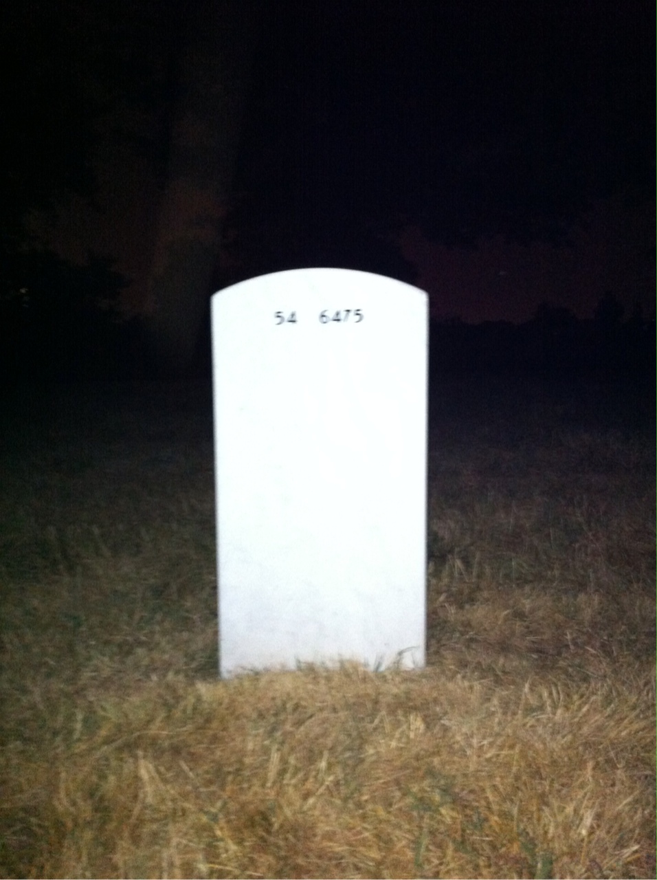 Back of headstone — Ernest Larson