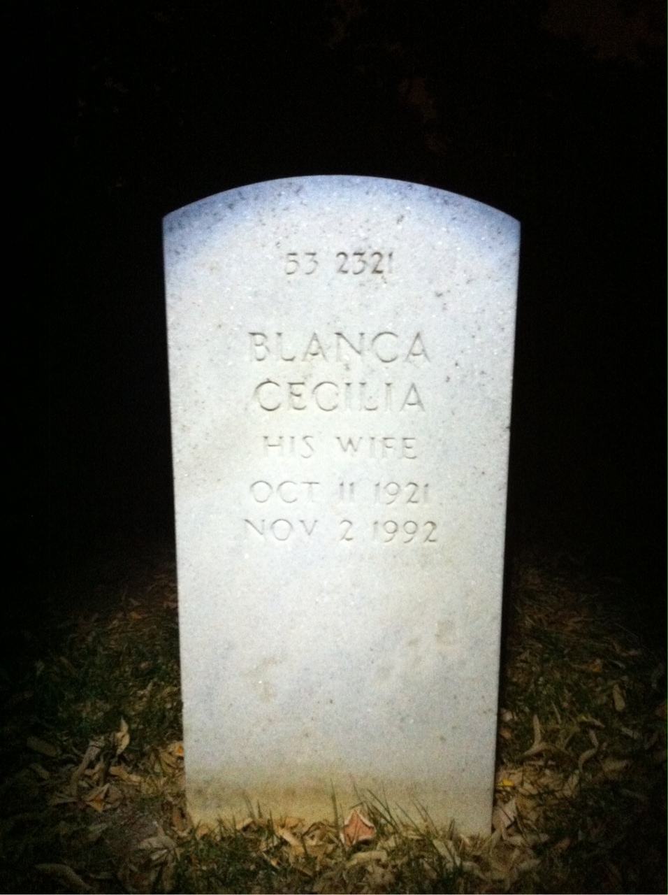 Back of headstone — John Barr
