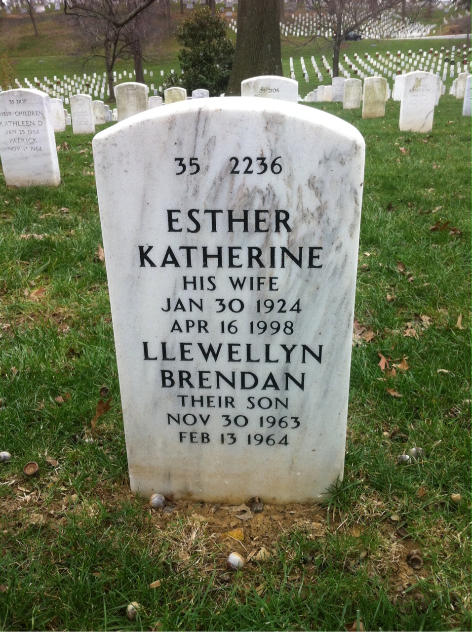 Back of headstone — Lloyd Birdsall