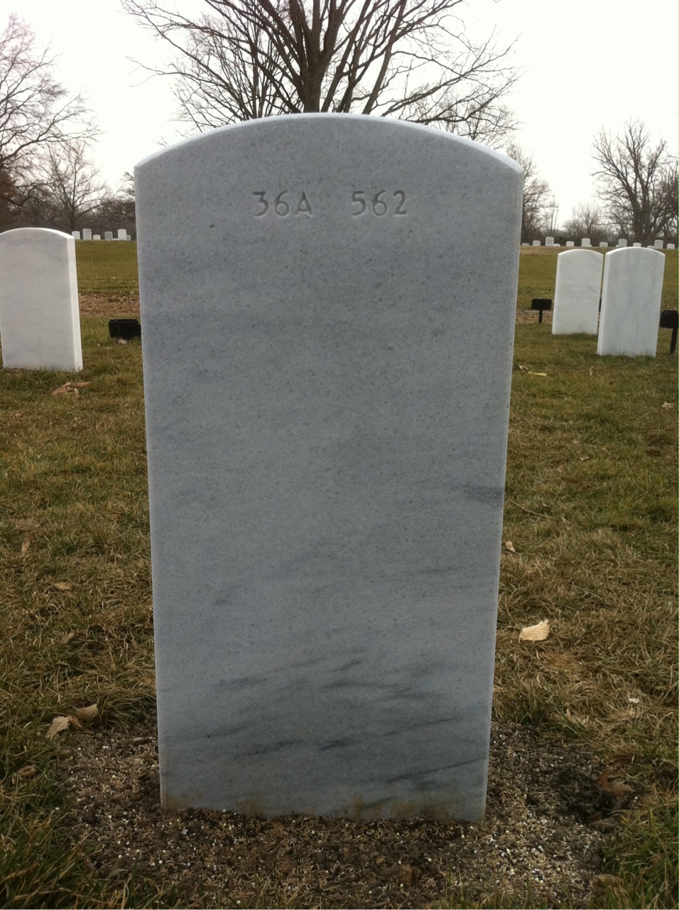 Back of headstone — Woodrow Charles Senkel
