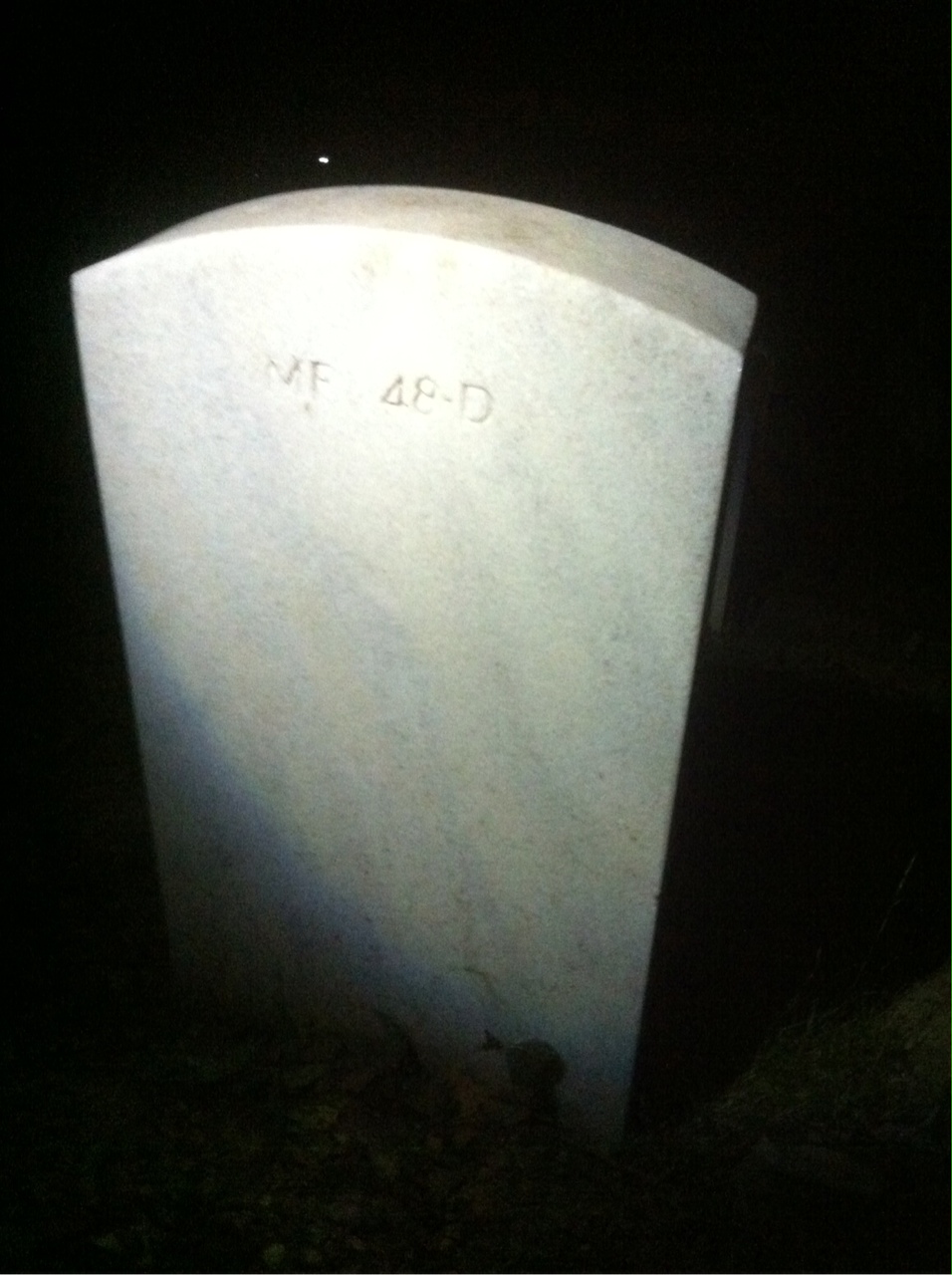 Back of headstone — Woodrow Wilson Williams