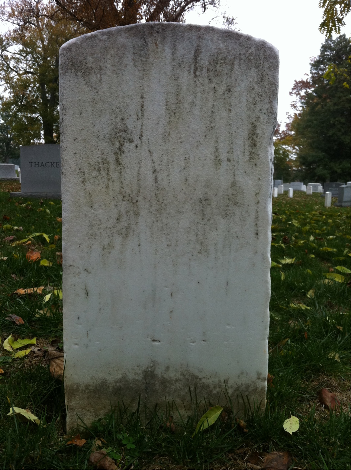 Back of headstone — Edwin Alberts