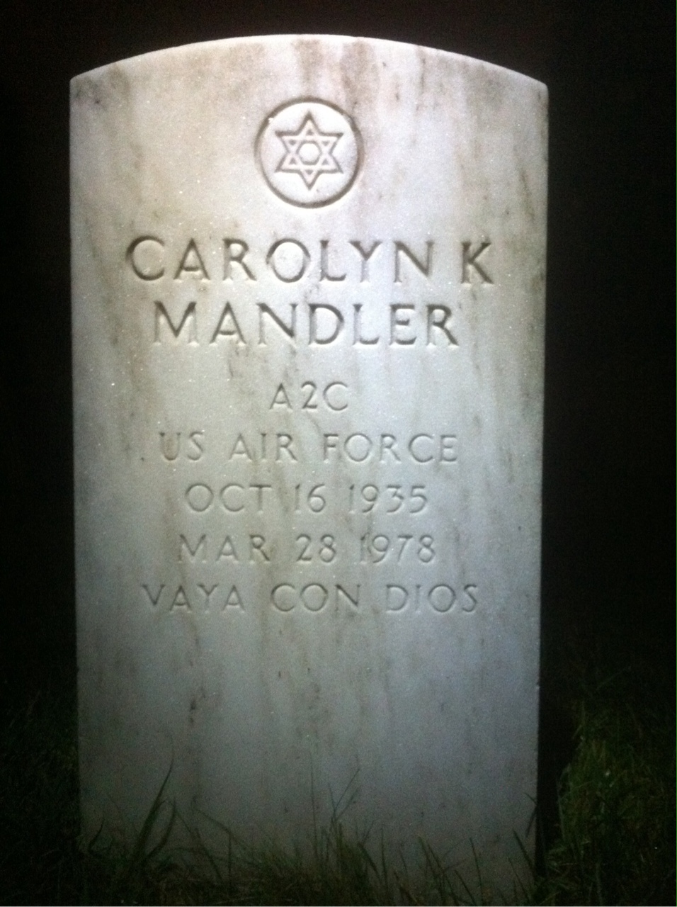 Carolyn Sherer Mandler