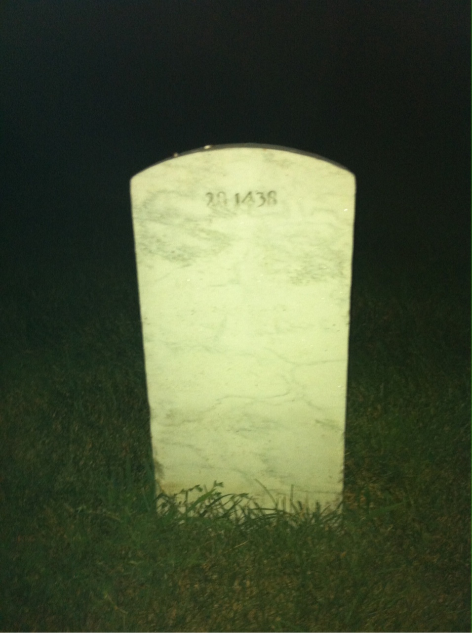 Back of headstone — James Mcneal