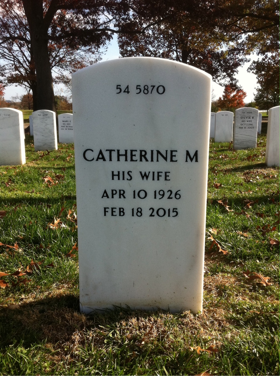 Back of headstone — Thomas Reddy