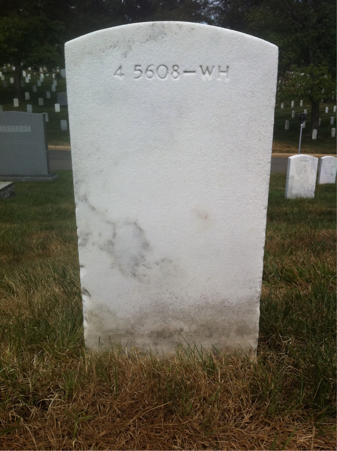 Back of headstone — William Miller