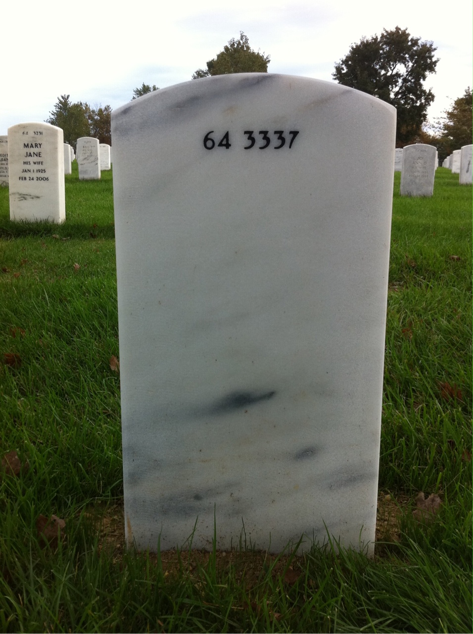 Back of headstone — Thomas R Davis