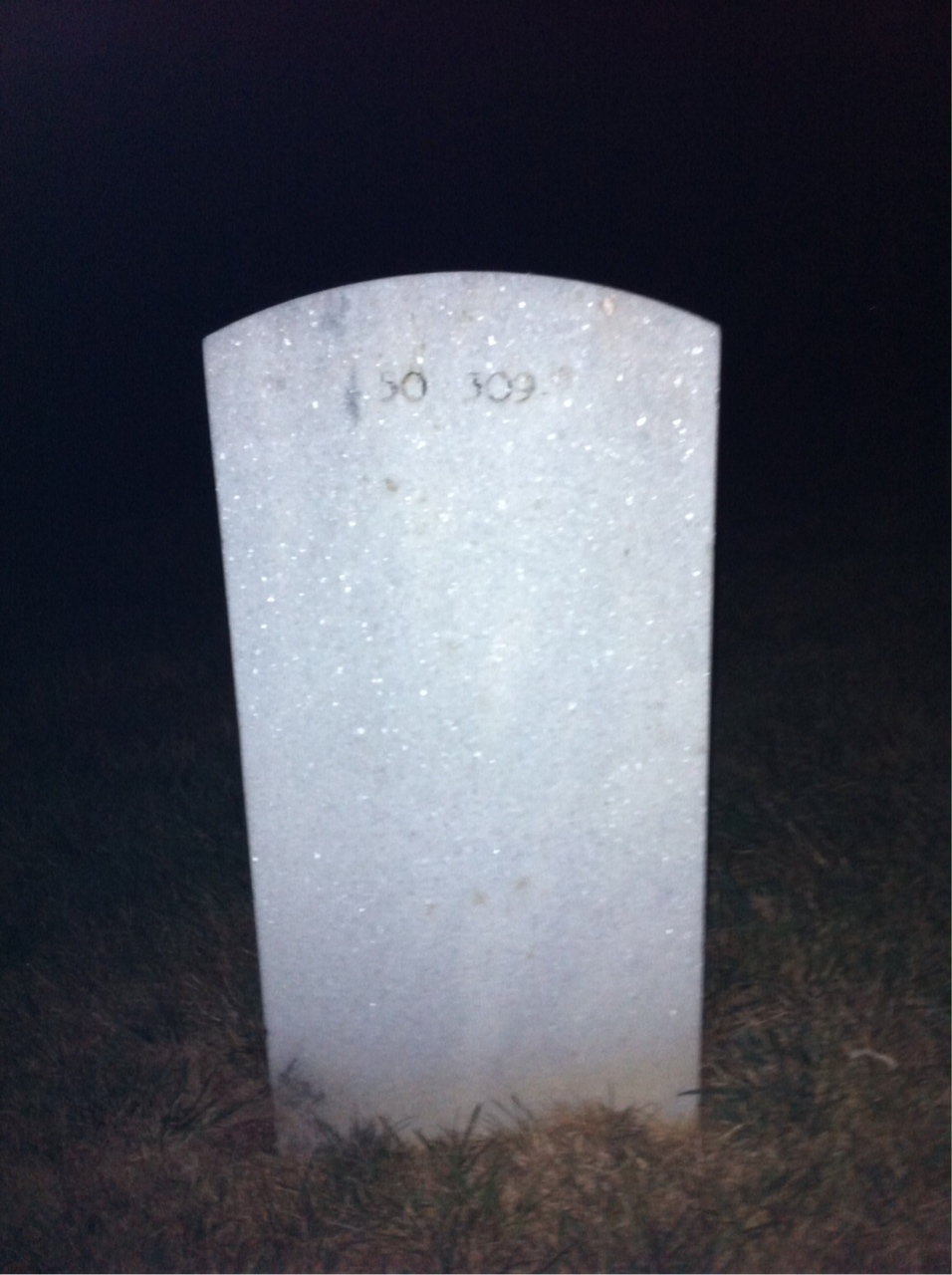 Back of headstone — Louis Benson