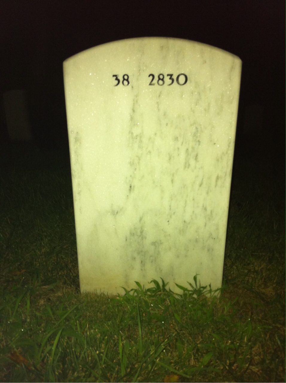 Back of headstone — Henry Salice