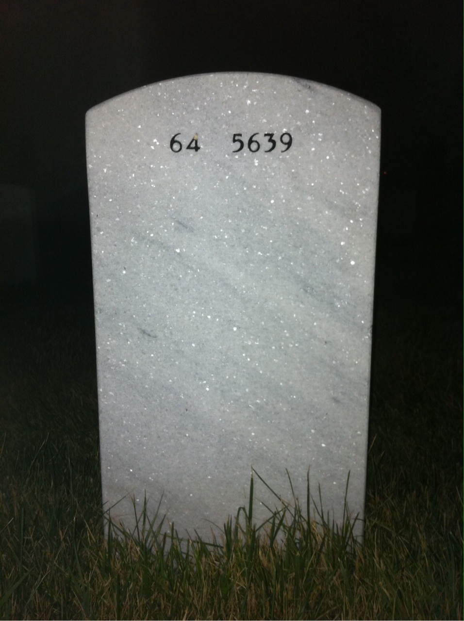 Back of headstone — James White