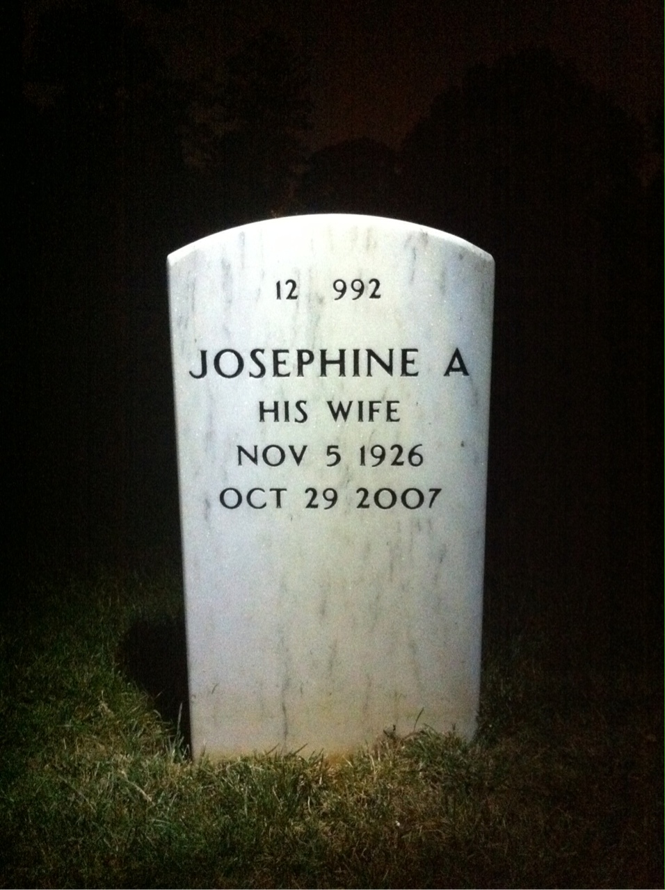Back of headstone — Albert Ray