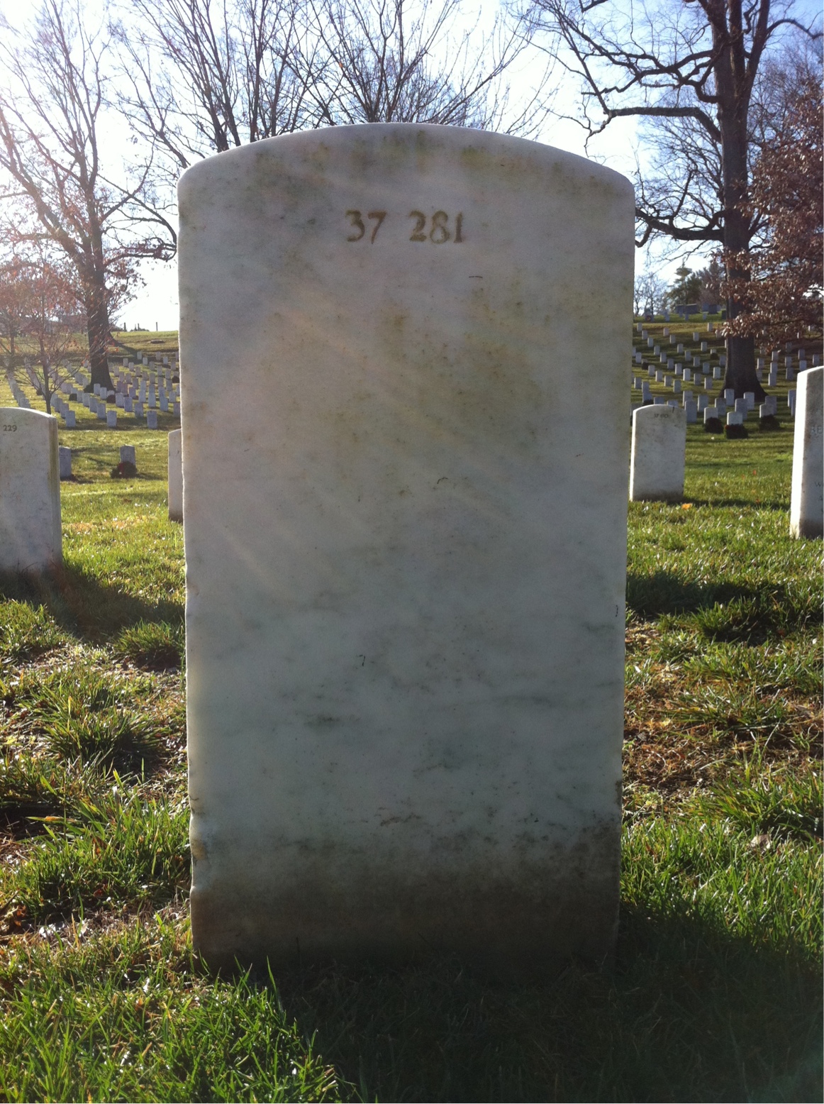 Back of headstone — Francis Albring
