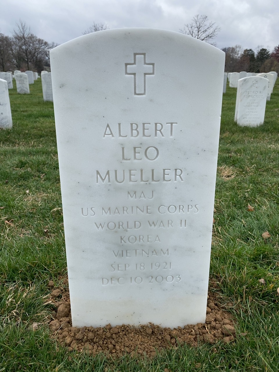 Albert Mueller