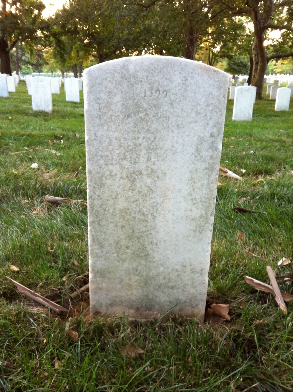 Back of headstone — Fred Murray