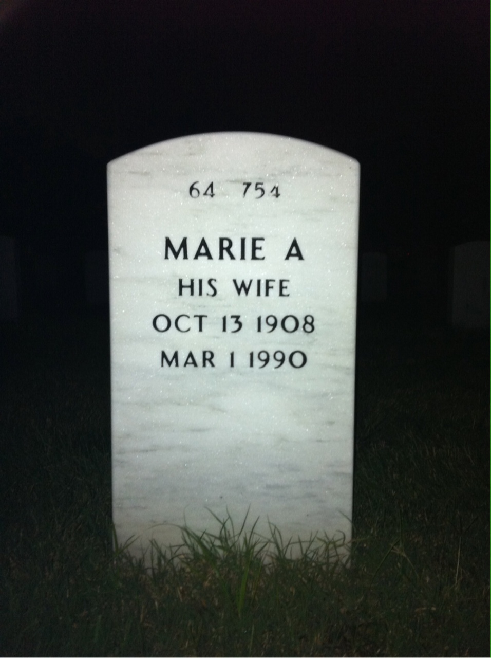 Back of headstone — William Pettigrew