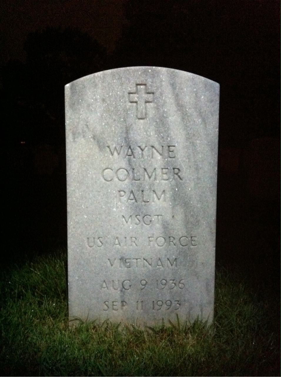Wayne Colmer Palm