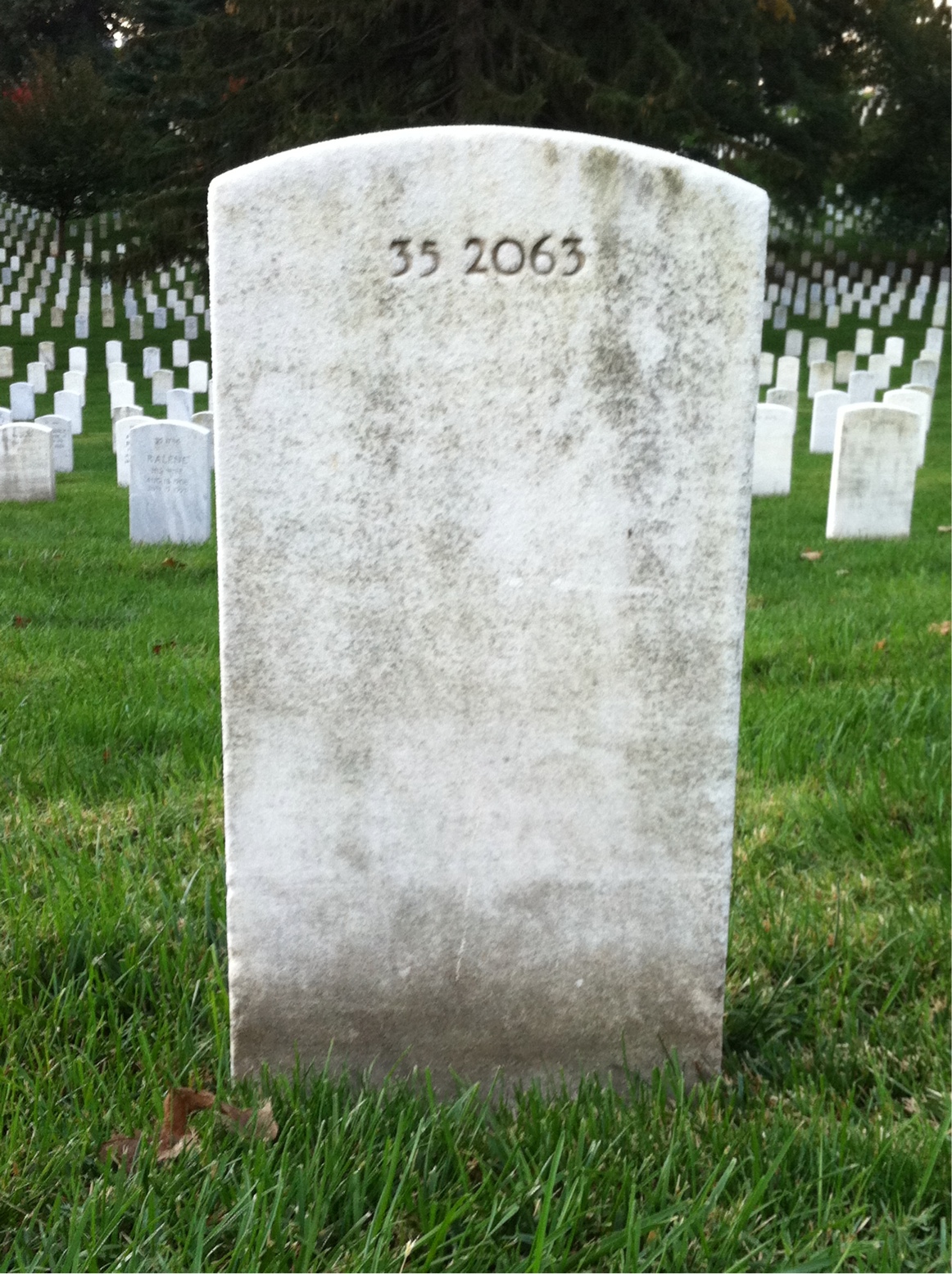 Back of headstone — Carl Applegate