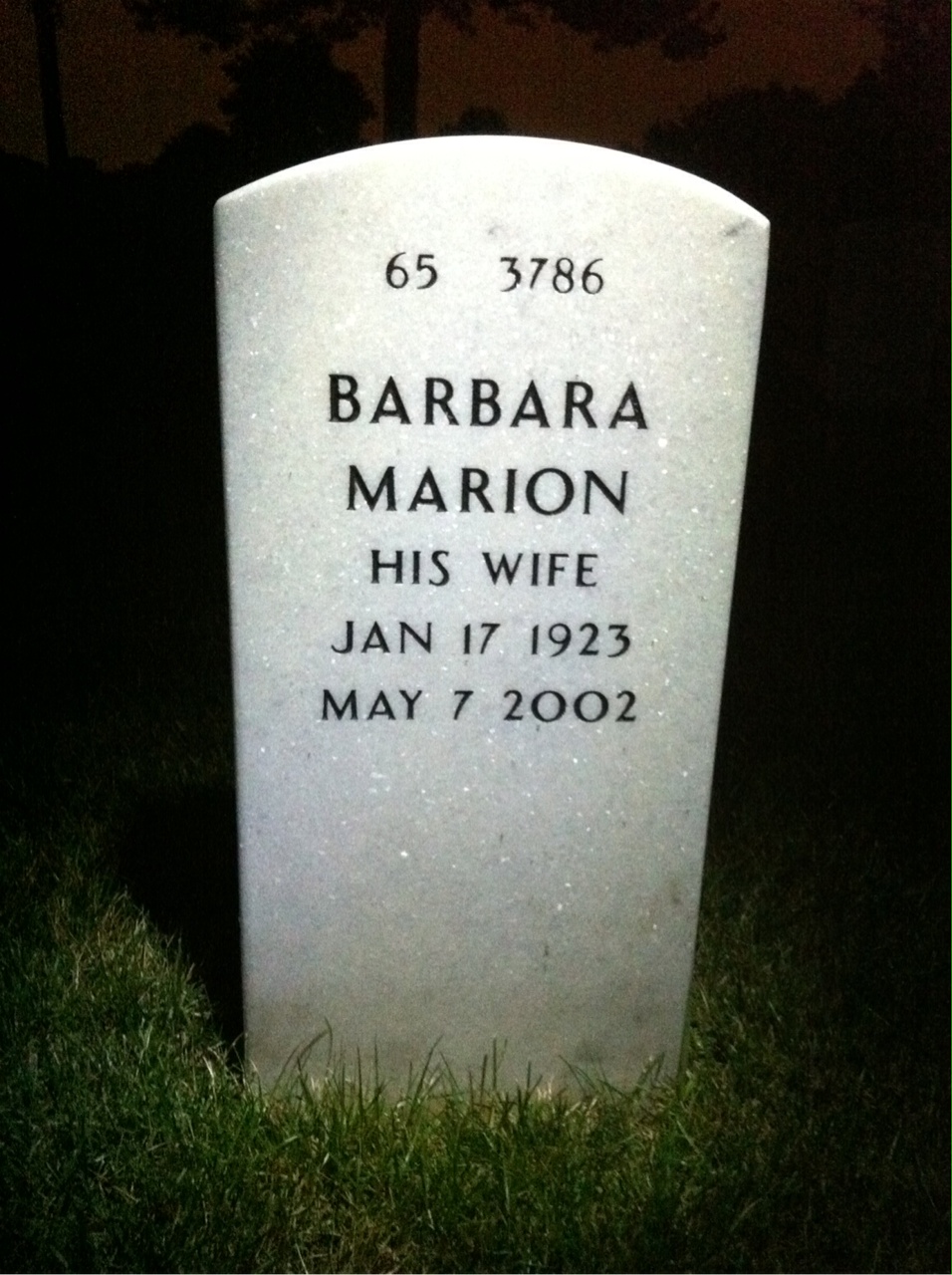 Back of headstone — James Rice