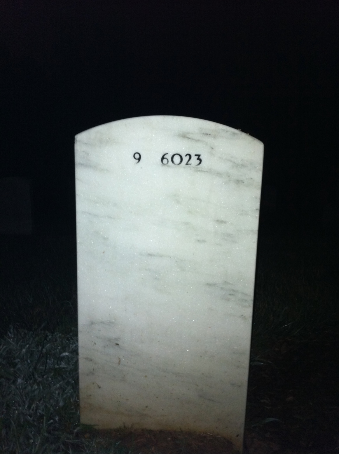 Back of headstone — James Novy