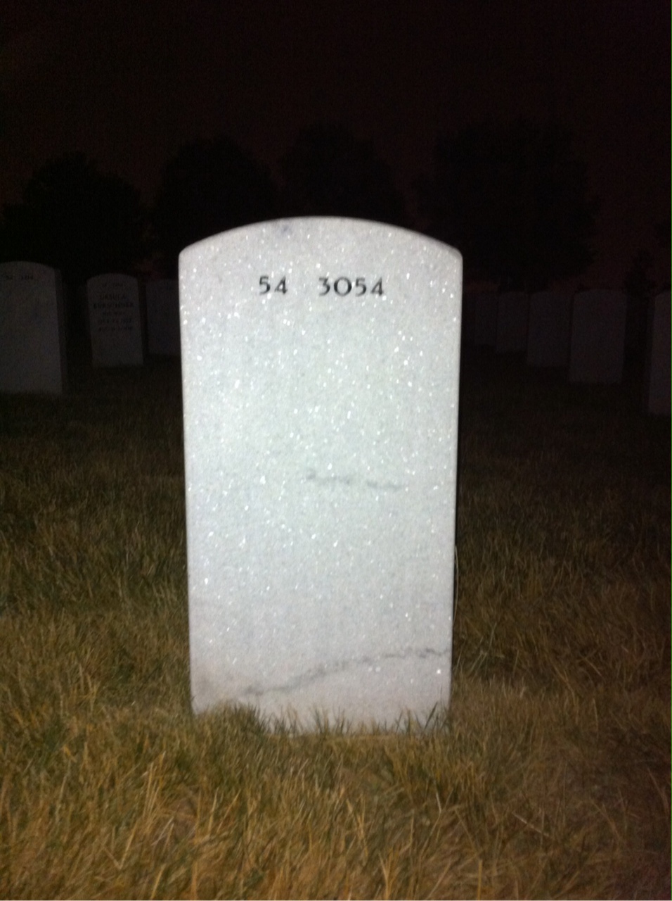 Back of headstone — Claude Flick