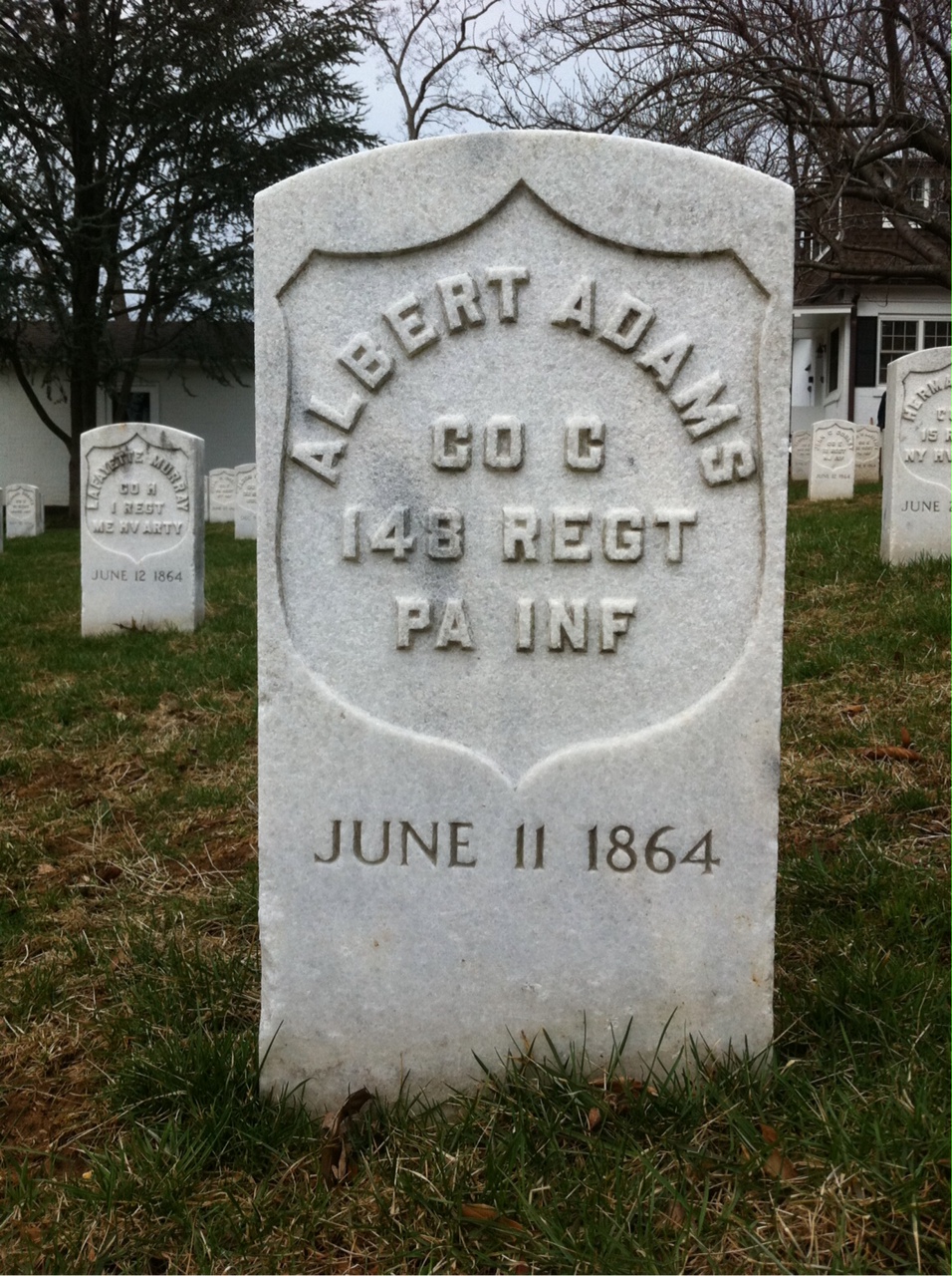 Albert Adams
