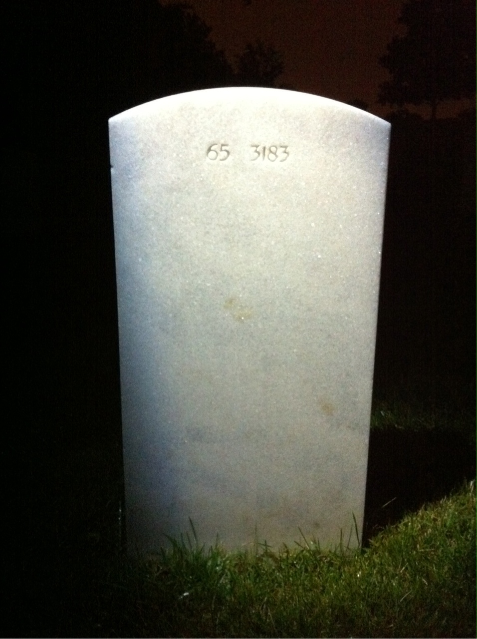 Back of headstone — Robert Alex