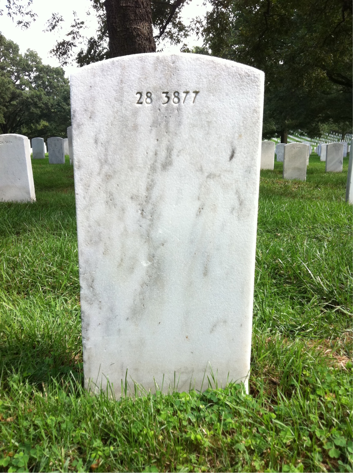 Back of headstone — William Barlette Doyle