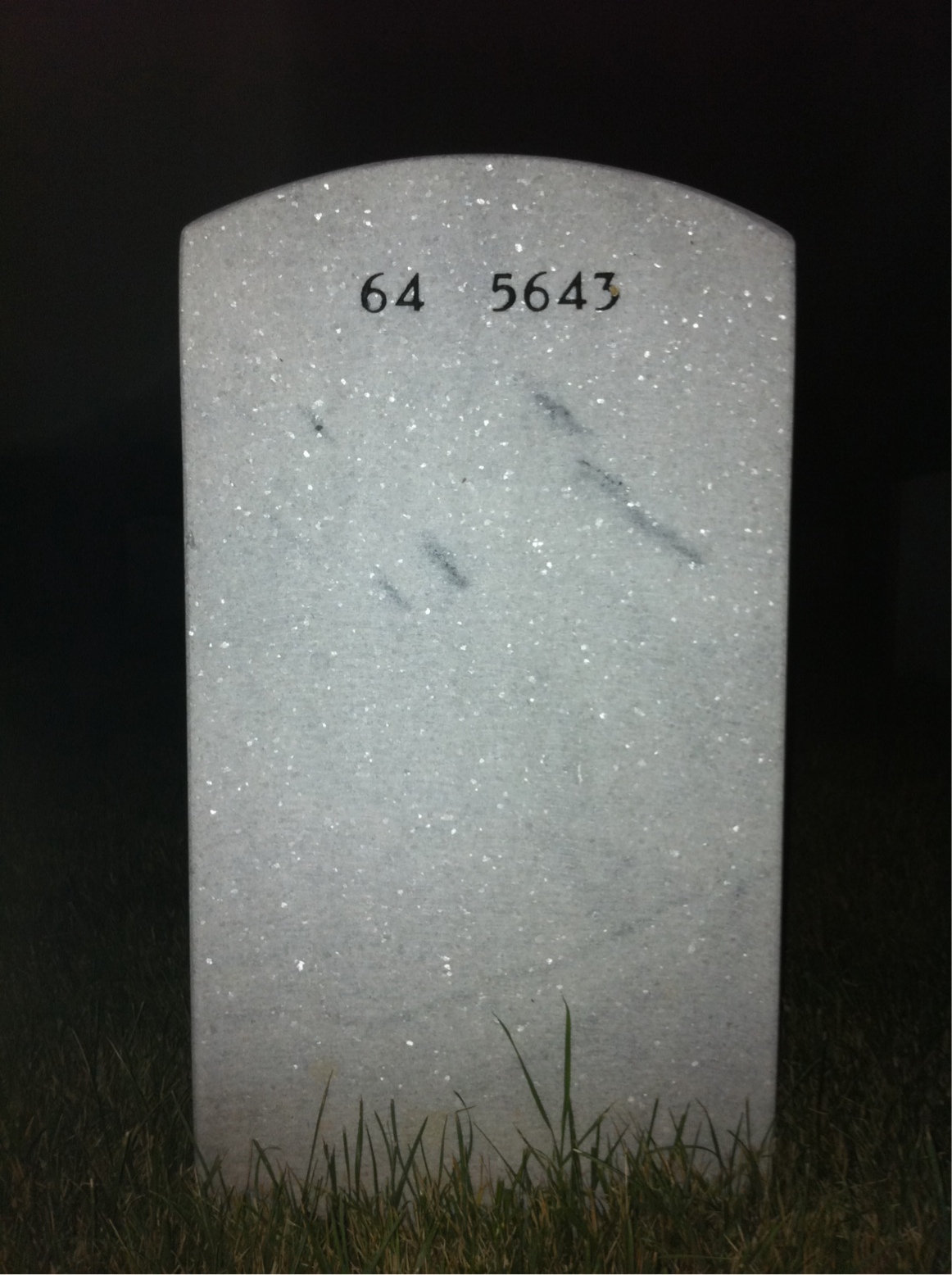 Back of headstone — Alfred Lyon
