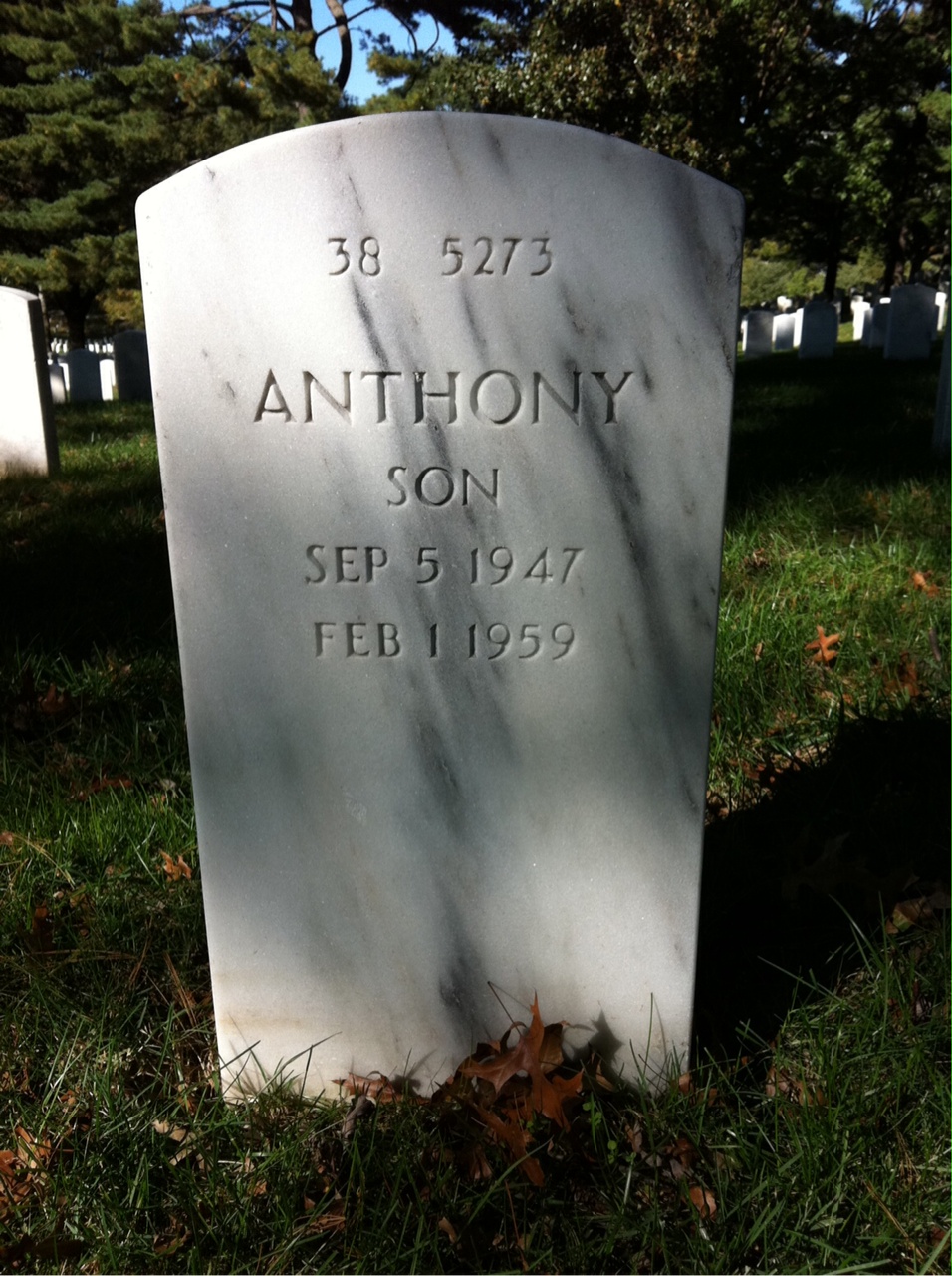 Back of headstone — Anthony T Williams