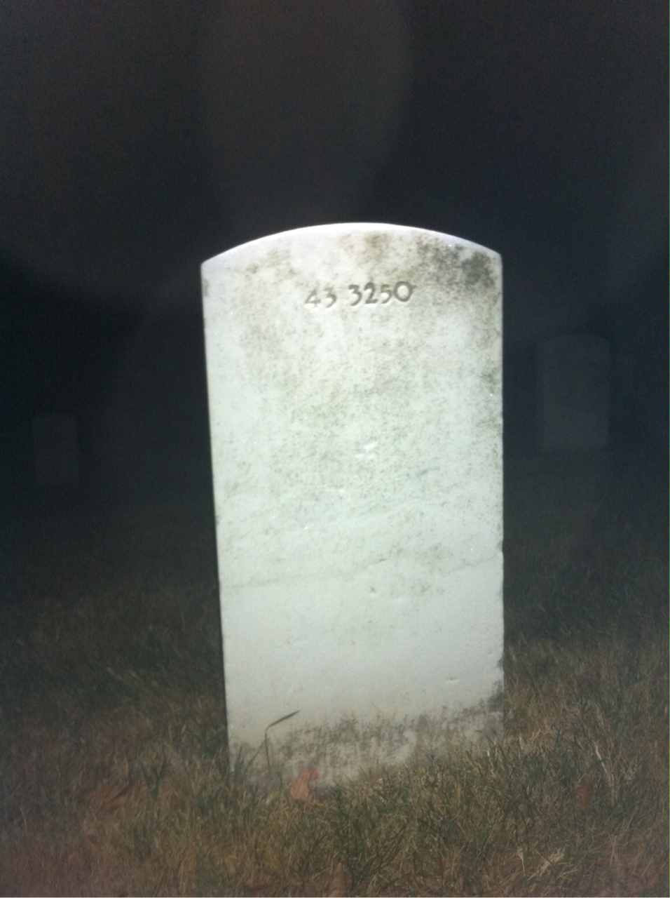 Back of headstone — Thomas F Williams