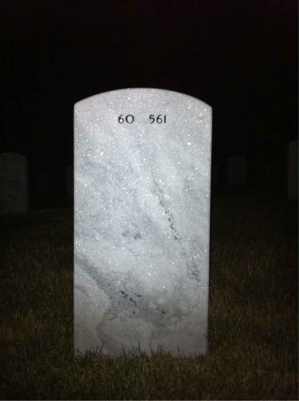 Back of headstone — William Hipps