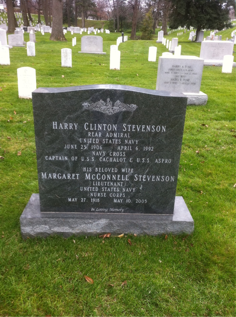 Harry Stevenson
